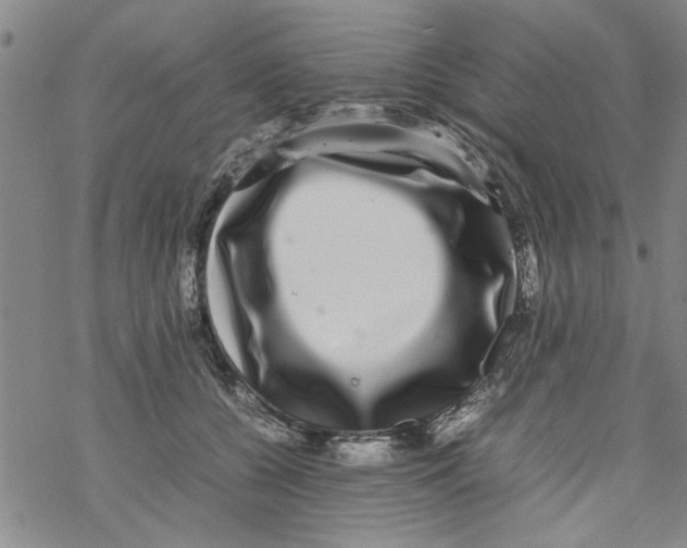 X0000067910560200605111945