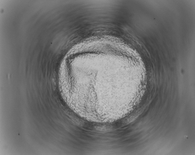 X0000067910561200605111945