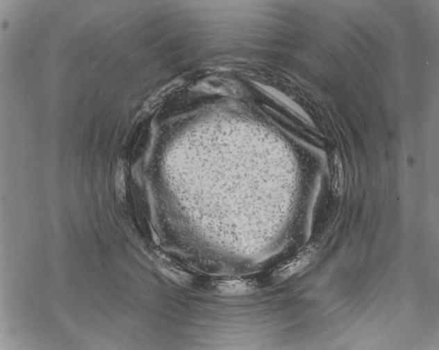 X0000067910562200605111945