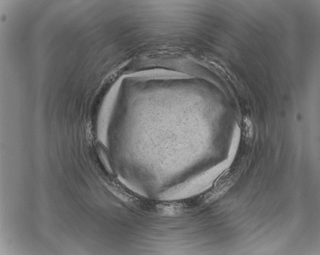 X0000067910564200605111945