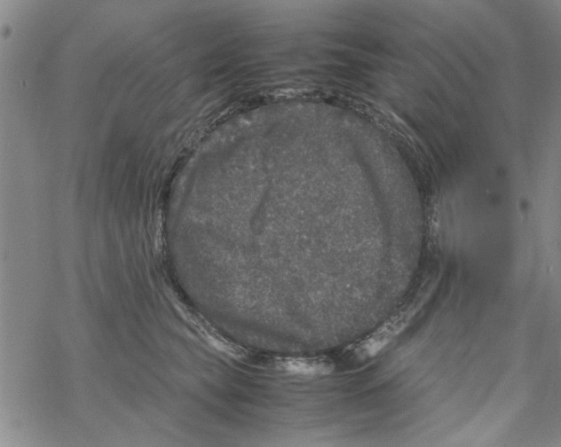 X0000067910565200605111946