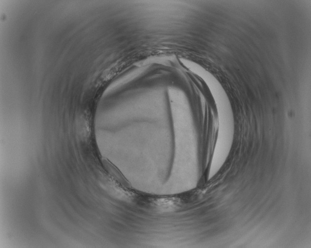 X0000067910566200605111946