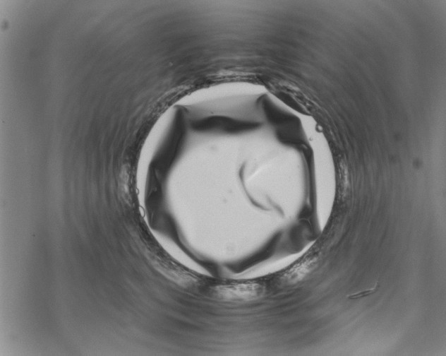 X0000067910567200605111946