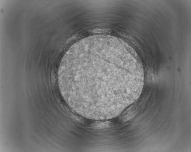 X0000067910569200605111946