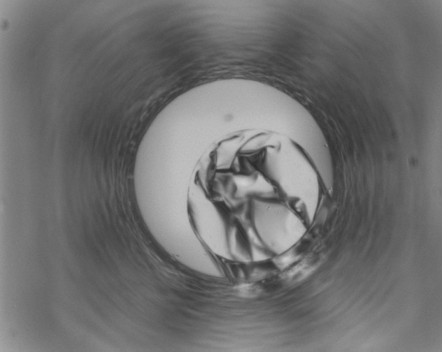 X0000067910570200605111946