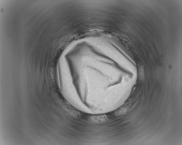 X0000067910571200605111946