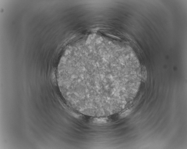 X0000067910573200605111946