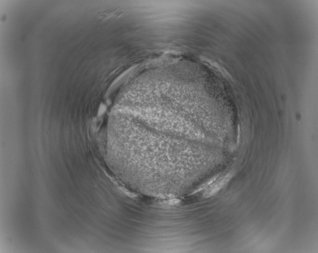 X0000067910576200605111946