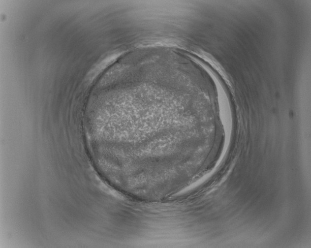 X0000067910577200605111945