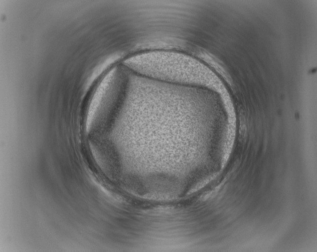 X0000067910578200605111945