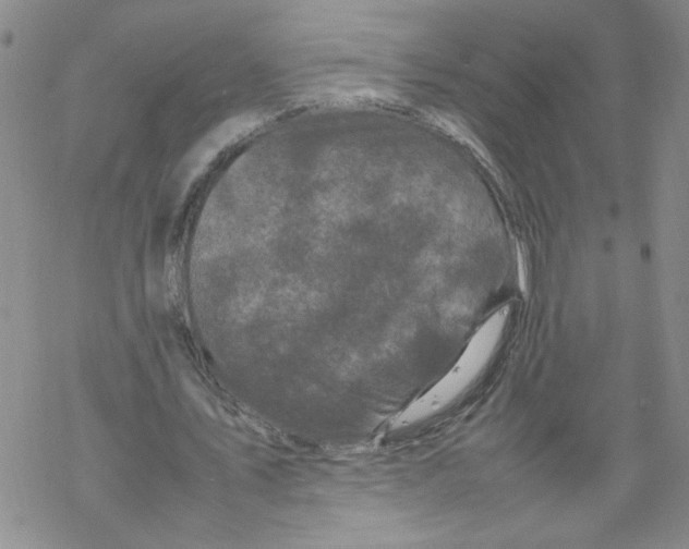 X0000067910579200605111945