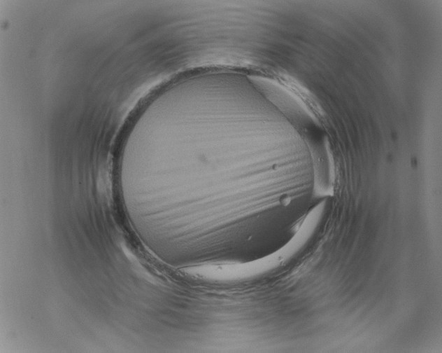 X0000067910580200605111945