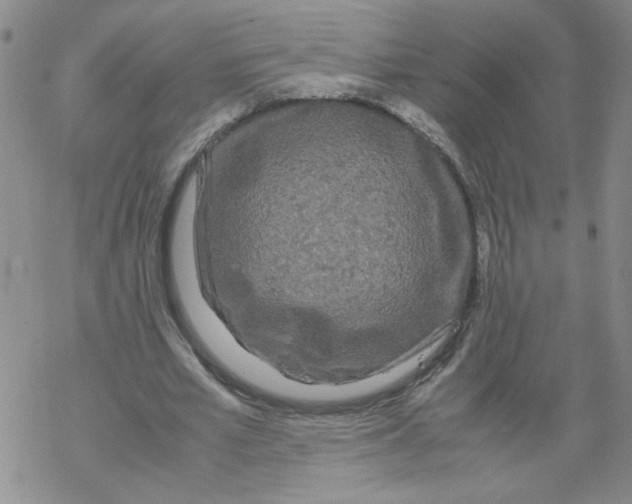 X0000067910581200605111945