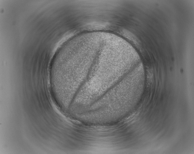 X0000067910582200605111945