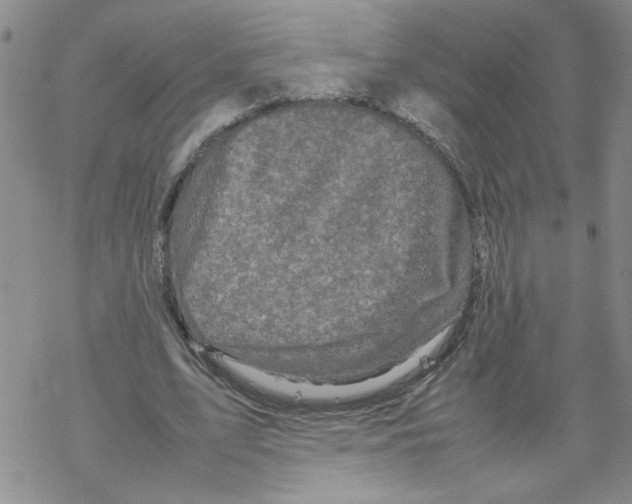 X0000067910583200605111945