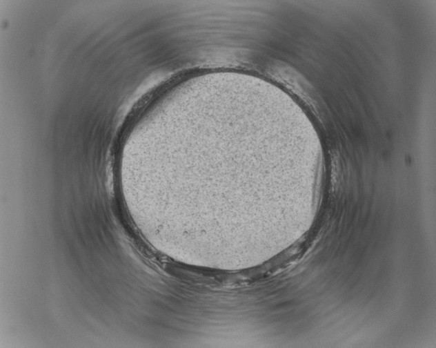 X0000067910584200605111945