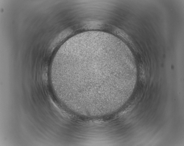 X0000067910586200605111945