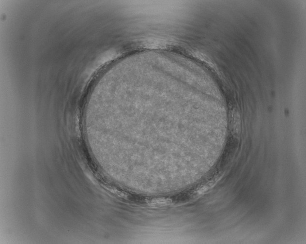 X0000067910587200605111945