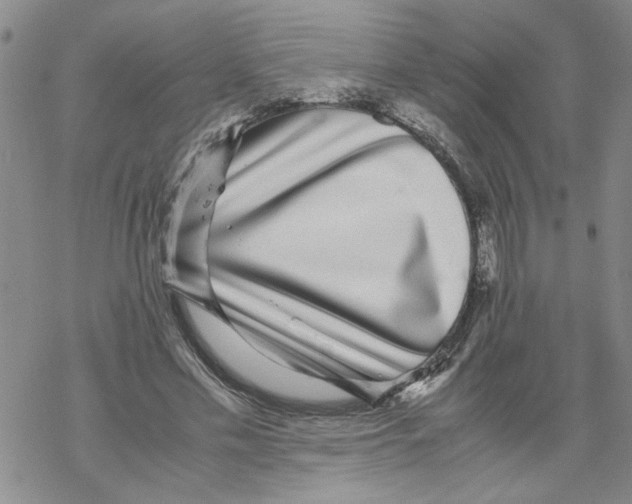 X0000067910589200605111945