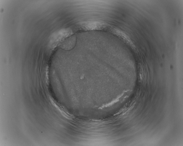 X0000067910590200605111945