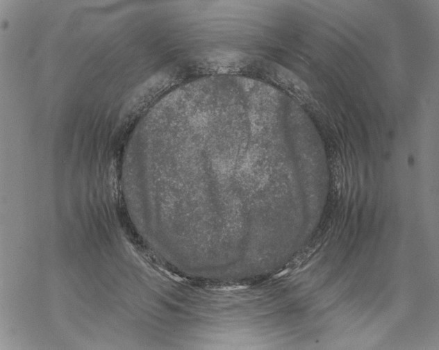 X0000067910594200605111945