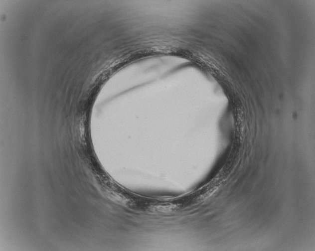 X0000067910595200605111945