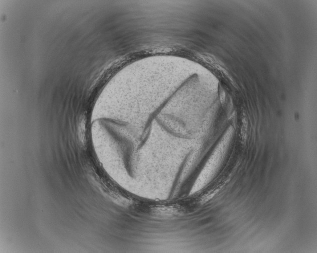 X0000067910596200605111945