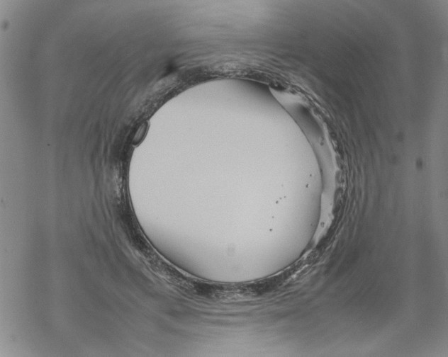 X0000067910597200605111945