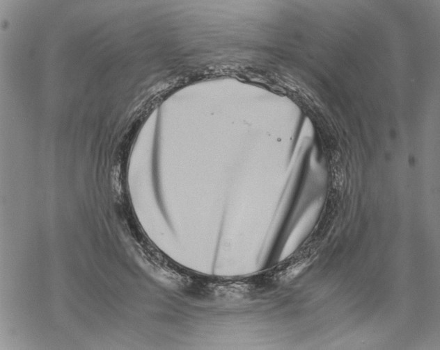 X0000067910599200605111945