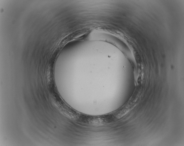 X0000067910600200605111945