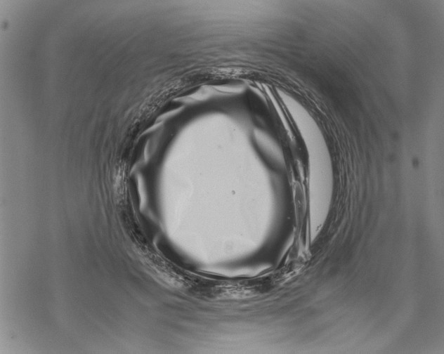 X0000067910601200605111945