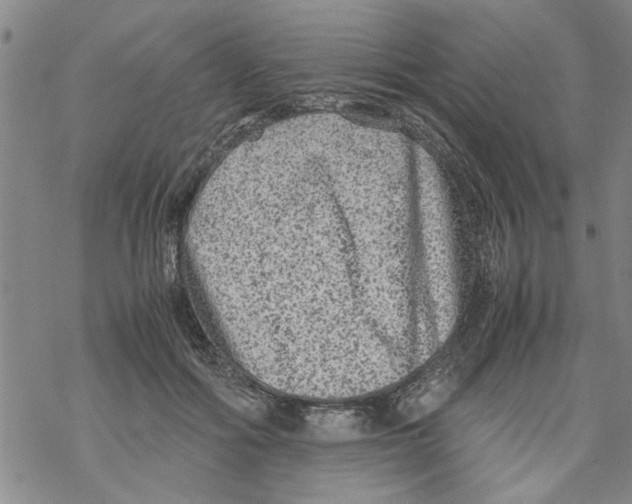 X0000067910602200605111944