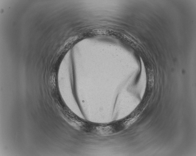 X0000067910603200605111944