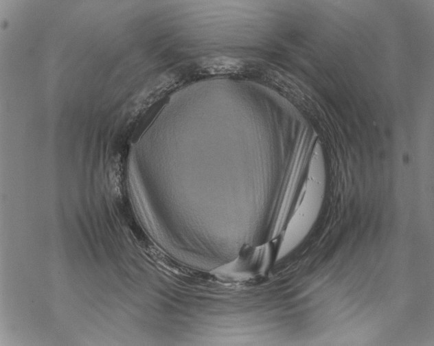 X0000067910604200605111944