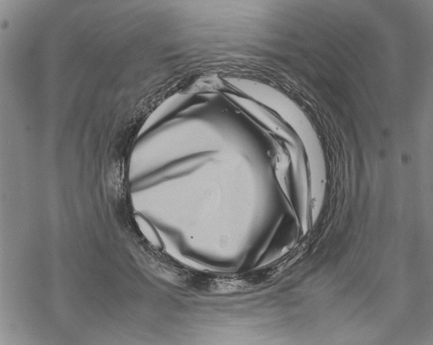 X0000067910605200605111944