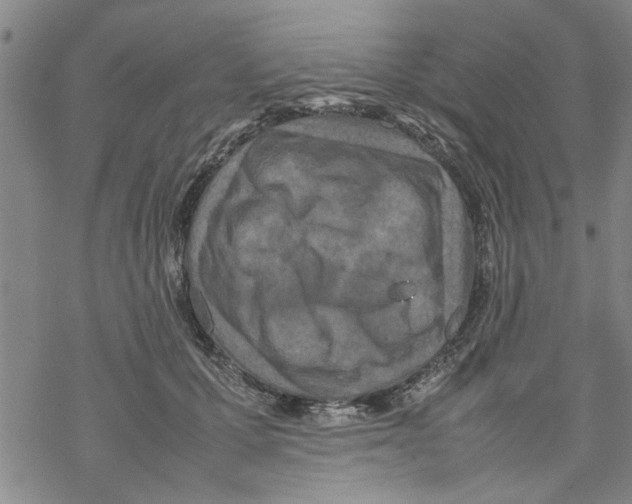 X0000067910607200605111944