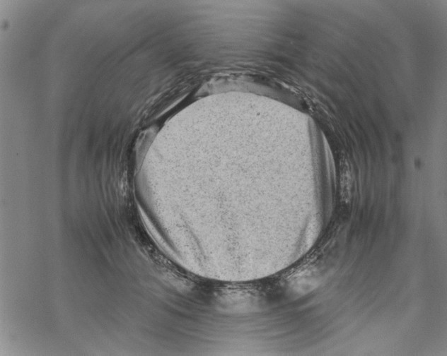 X0000067910608200605111944