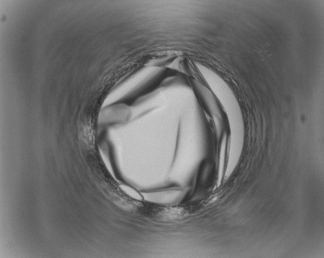 X0000067910609200605111944