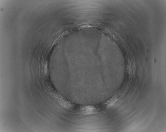 X0000067910610200605111944