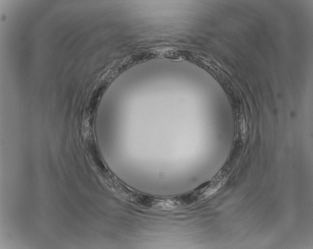 X0000067910611200605111944