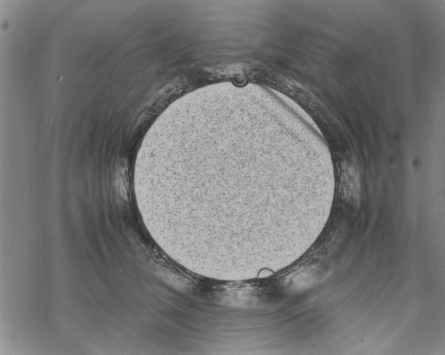 X0000067910612200605111944