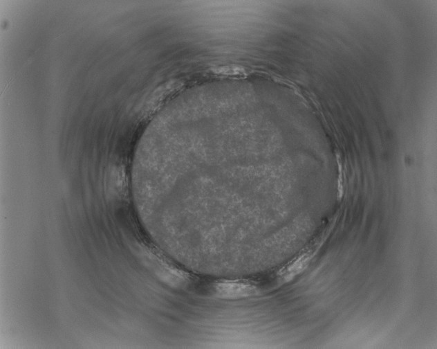 X0000067910614200605111944