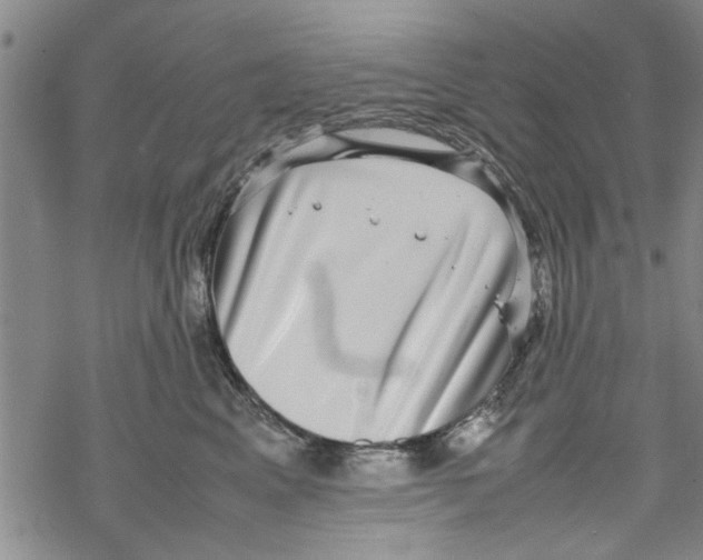 X0000067910617200605111944