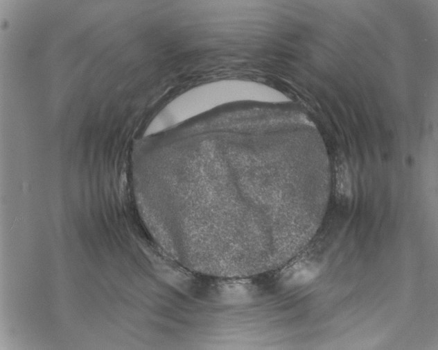 X0000067910618200605111944