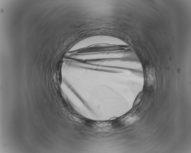 X0000067910619200605111944