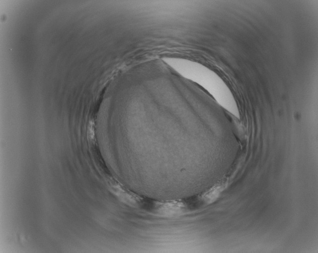 X0000067910621200605111944