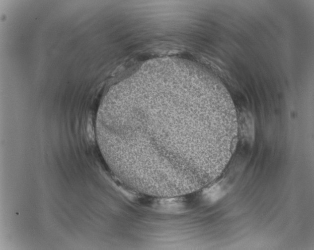 X0000067910622200605111944