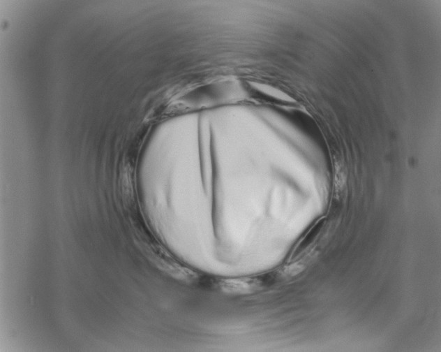 X0000067910623200605111944