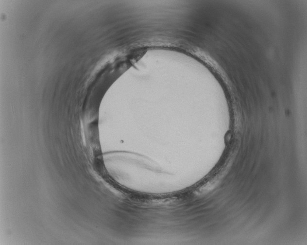 X0000067910625200605111943