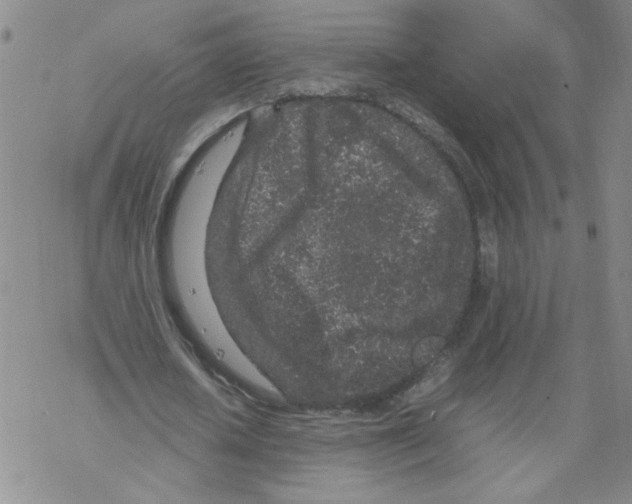 X0000067910626200605111943